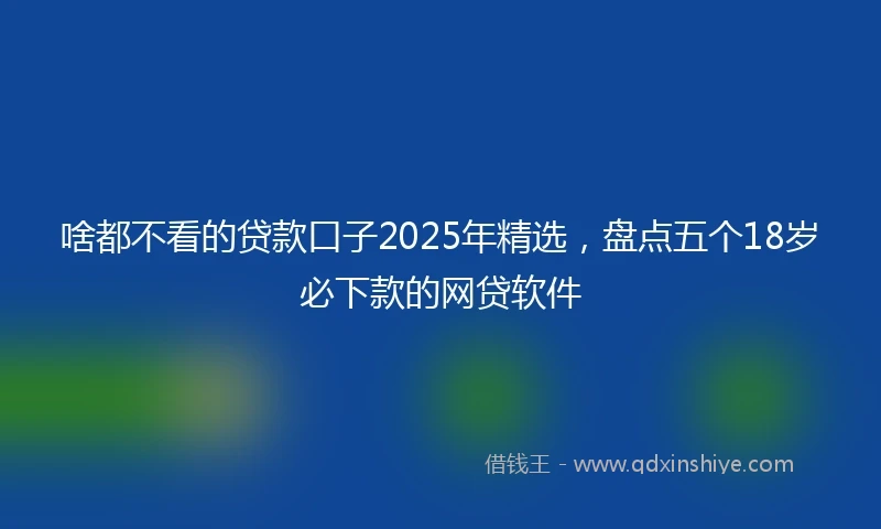 啥都不看的贷款口子2025年精选，盘点五个18岁必下款的网贷软件