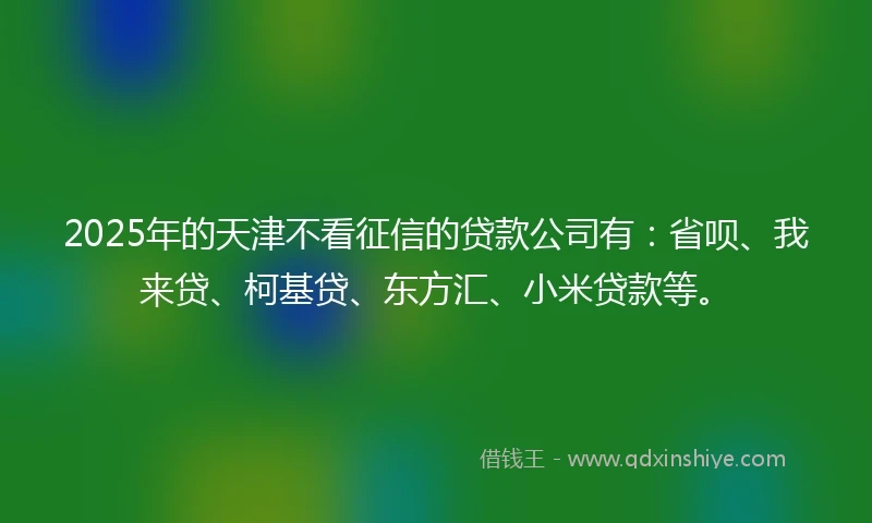 2025年的天津不看征信的贷款公司有：省呗、我来贷、柯基贷、东方汇、小米贷款等。