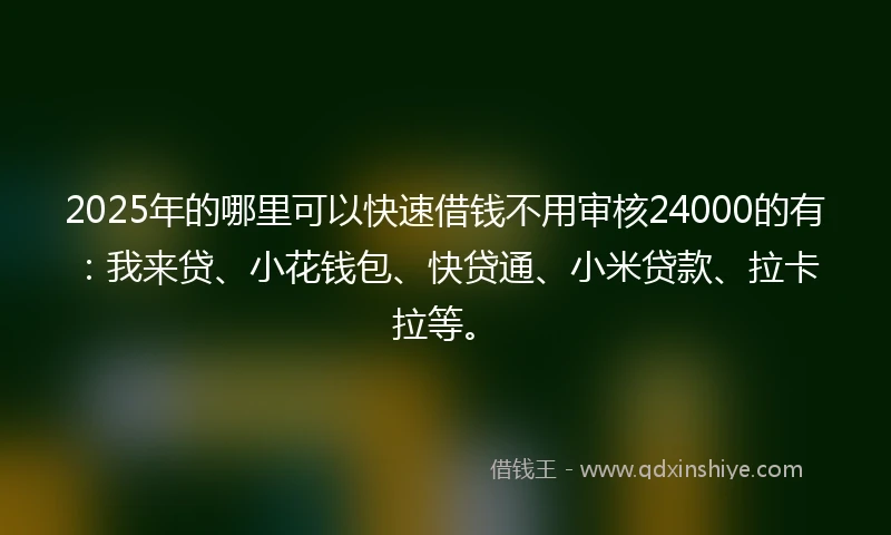 2025年的哪里可以快速借钱不用审核24000的有：我来贷、小花钱包、快贷通、小米贷款、拉卡拉等。
