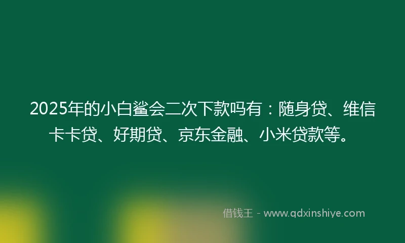 2025年的小白鲨会二次下款吗有：随身贷、维信卡卡贷、好期贷、京东金融、小米贷款等。