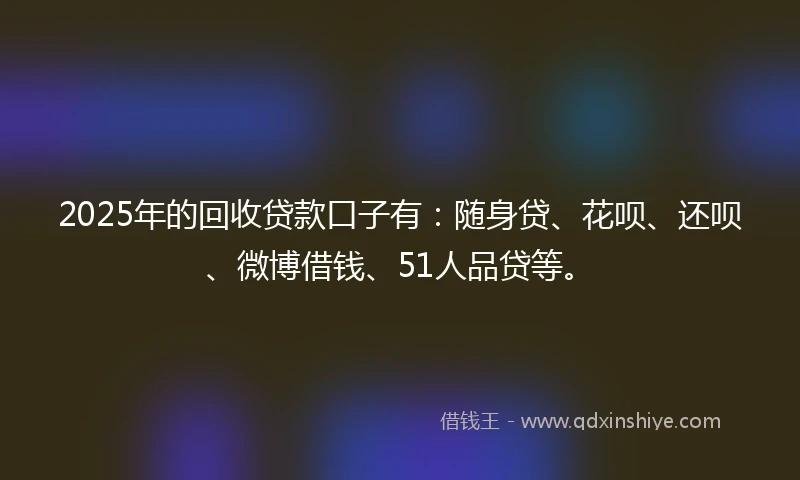 2025年的回收贷款口子有：随身贷、花呗、还呗、微博借钱、51人品贷等。