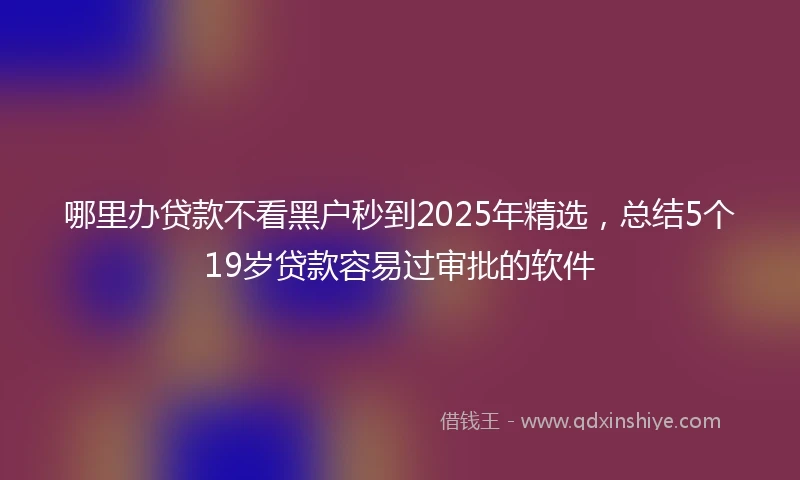 哪里办贷款不看黑户秒到2025年精选，总结5个19岁贷款容易过审批的软件