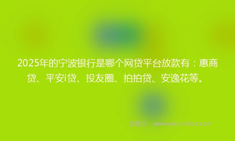 2025年的宁波银行是哪个网贷平台放款有：惠商贷、平安i贷、投友圈、拍拍贷、安逸花等。