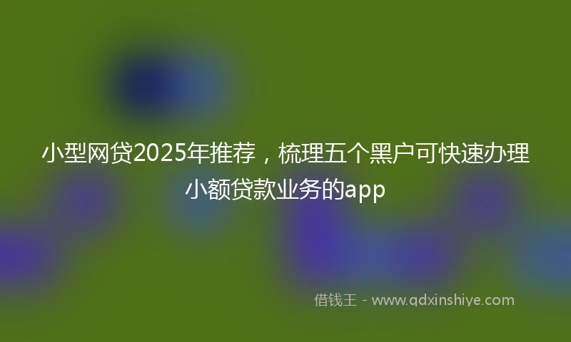 小型网贷2025年推荐，梳理五个黑户可快速办理小额贷款业务的app