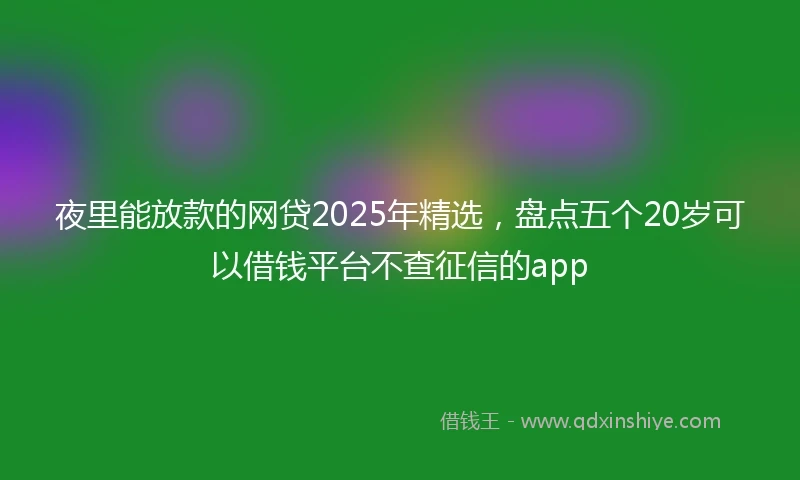 夜里能放款的网贷2025年精选，盘点五个20岁可以借钱平台不查征信的app