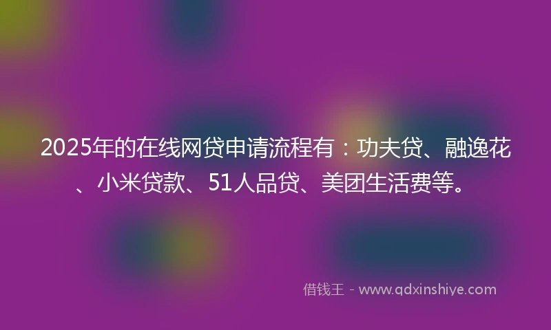 2025年的在线网贷申请流程有：功夫贷、融逸花、小米贷款、51人品贷、美团生活费等。