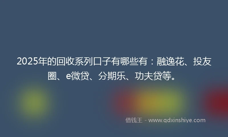 2025年的回收系列口子有哪些有：融逸花、投友圈、e微贷、分期乐、功夫贷等。