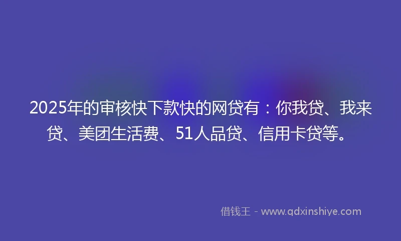 2025年的审核快下款快的网贷有：你我贷、我来贷、美团生活费、51人品贷、信用卡贷等。