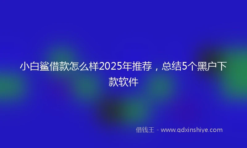 小白鲨借款怎么样2025年推荐，总结5个黑户下款软件