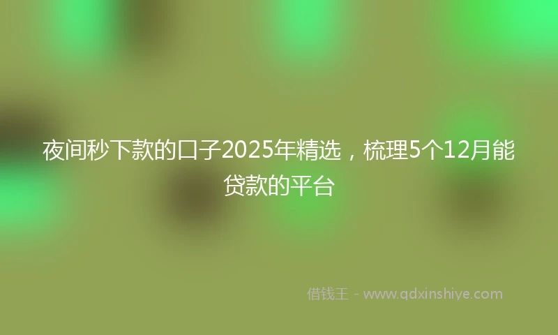 夜间秒下款的口子2025年精选，梳理5个12月能贷款的平台