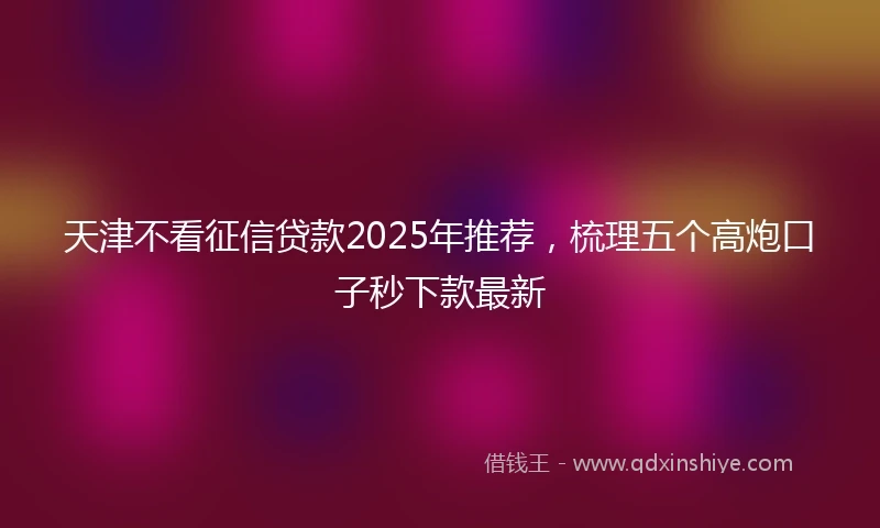 天津不看征信贷款2025年推荐，梳理五个高炮口子秒下款最新