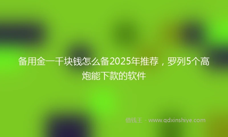 备用金一千块钱怎么备2025年推荐，罗列5个高炮能下款的软件