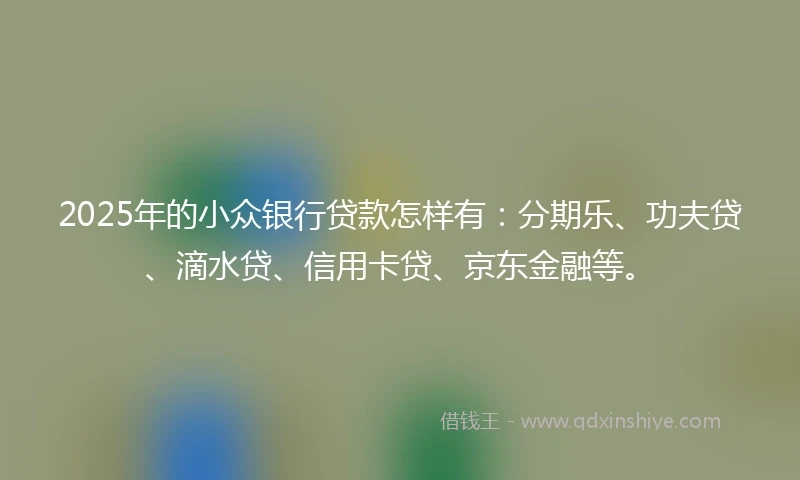 2025年的小众银行贷款怎样有：分期乐、功夫贷、滴水贷、信用卡贷、京东金融等。