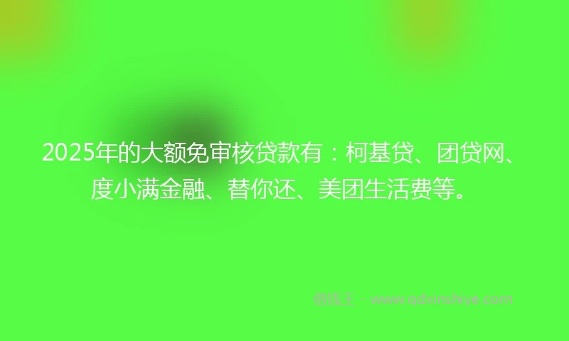 2025年的大额免审核贷款有：柯基贷、团贷网、度小满金融、替你还、美团生活费等。