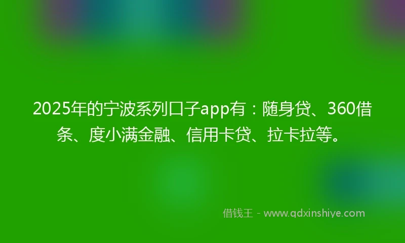 2025年的宁波系列口子app有：随身贷、360借条、度小满金融、信用卡贷、拉卡拉等。