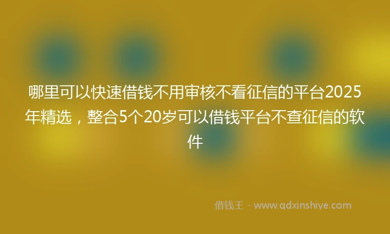 哪里可以快速借钱不用审核不看征信的平台2025年精选，整合5个20岁可以借钱平台不查征信的软件