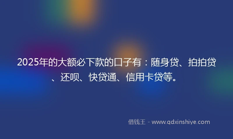 2025年的大额必下款的口子有：随身贷、拍拍贷、还呗、快贷通、信用卡贷等。