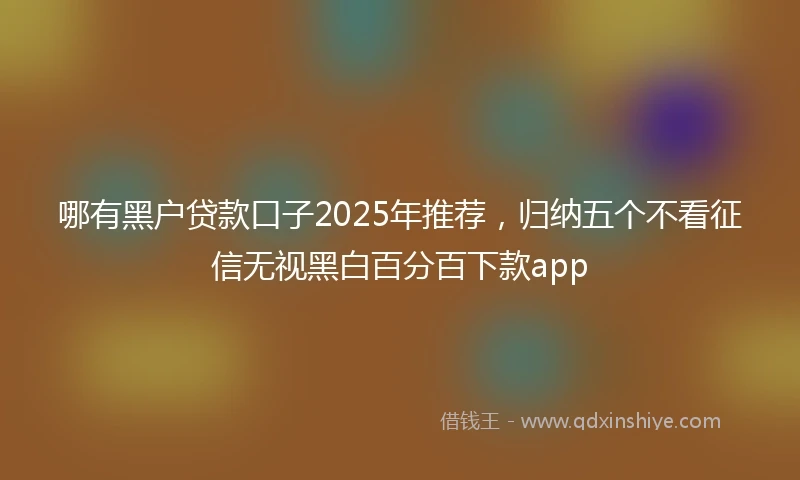 哪有黑户贷款口子2025年推荐，归纳五个不看征信无视黑白百分百下款app