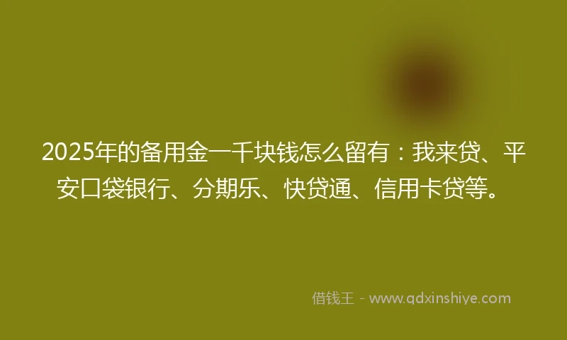 2025年的备用金一千块钱怎么留有：我来贷、平安口袋银行、分期乐、快贷通、信用卡贷等。