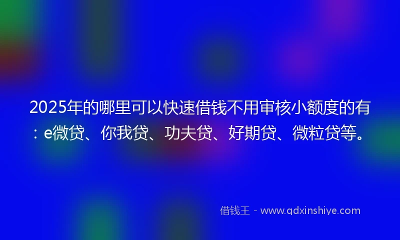 2025年的哪里可以快速借钱不用审核小额度的有：e微贷、你我贷、功夫贷、好期贷、微粒贷等。