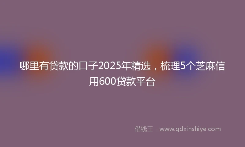 哪里有贷款的口子2025年精选，梳理5个芝麻信用600贷款平台