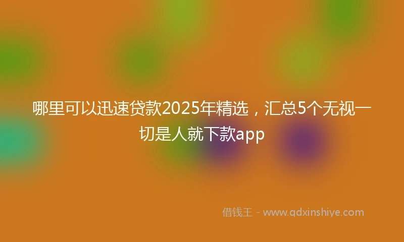 哪里可以迅速贷款2025年精选，汇总5个无视一切是人就下款app