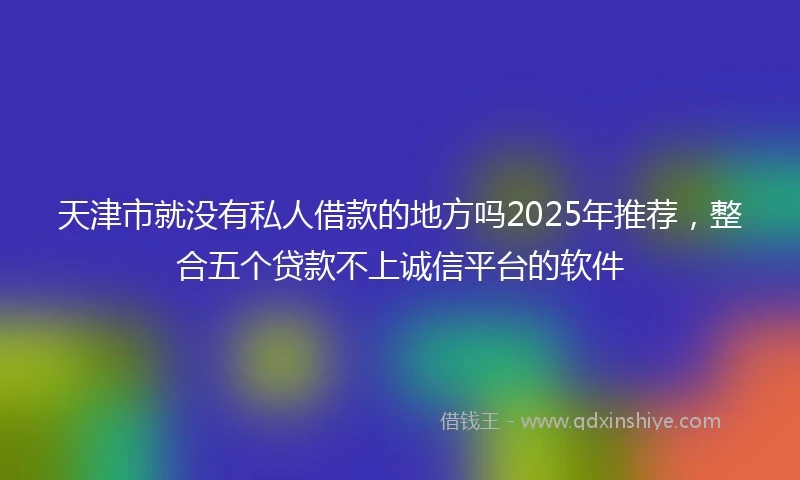 天津市就没有私人借款的地方吗2025年推荐，整合五个贷款不上诚信平台的软件