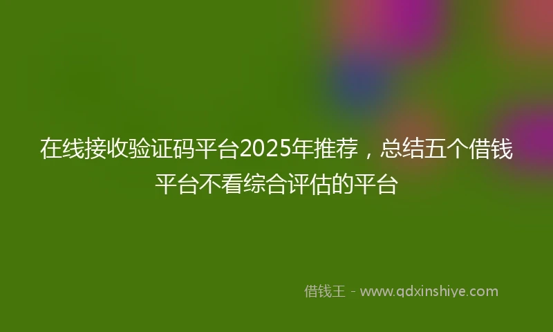 在线接收验证码平台2025年推荐，总结五个借钱平台不看综合评估的平台