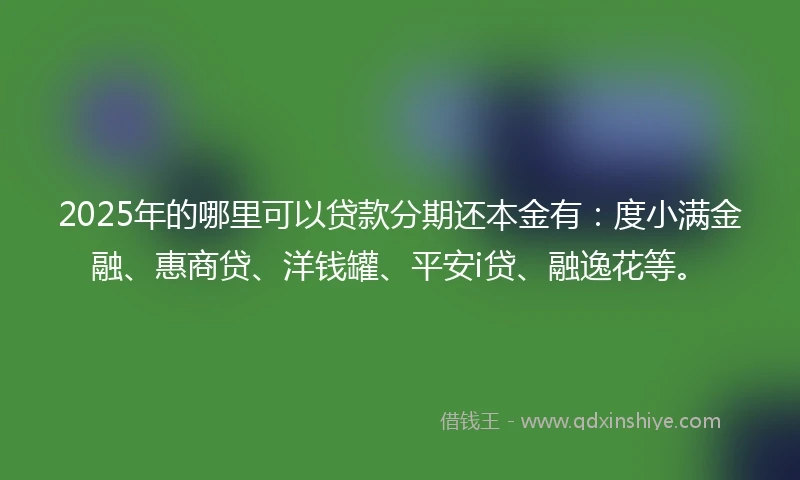 2025年的哪里可以贷款分期还本金有：度小满金融、惠商贷、洋钱罐、平安i贷、融逸花等。