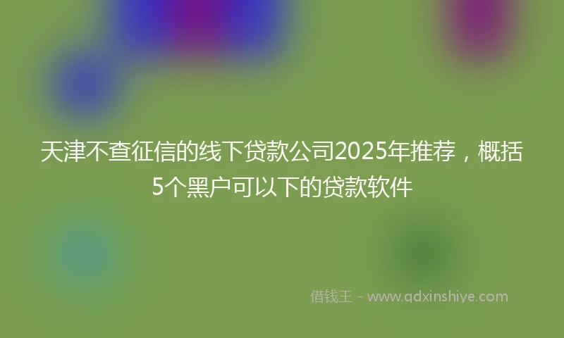 天津不查征信的线下贷款公司2025年推荐,概括5个黑户可以下的贷款软件