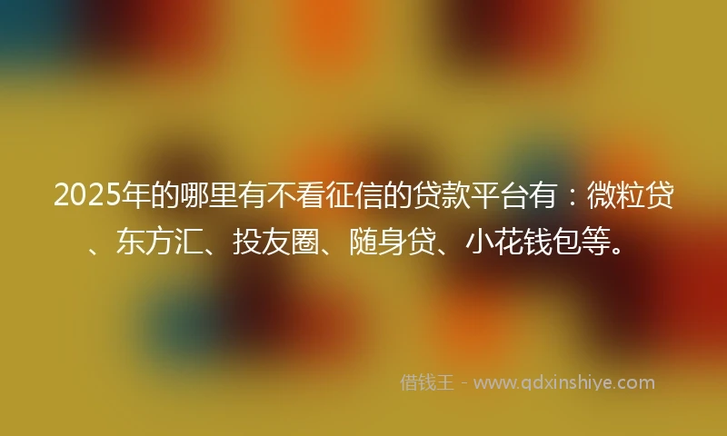 2025年的哪里有不看征信的贷款平台有：微粒贷、东方汇、投友圈、随身贷、小花钱包等。