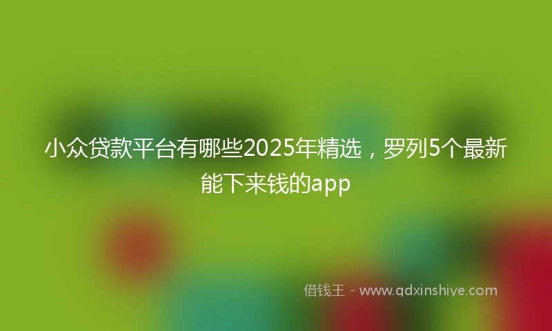 小众贷款平台有哪些2025年精选，罗列5个最新能下来钱的app