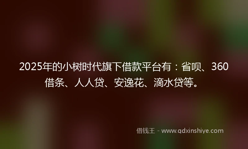 2025年的小树时代旗下借款平台有：省呗、360借条、人人贷、安逸花、滴水贷等。