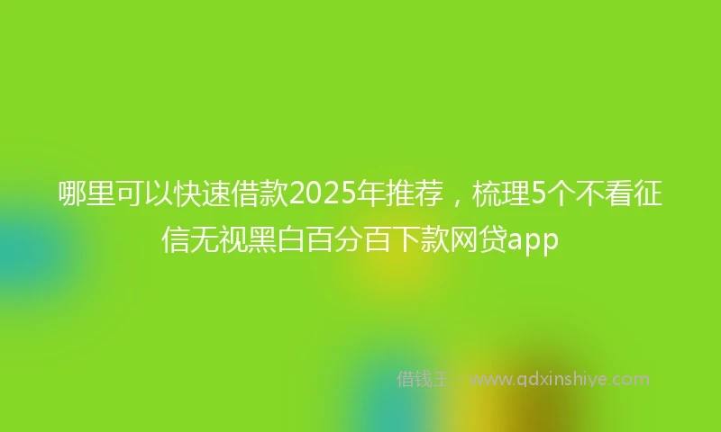 哪里可以快速借款2025年推荐，梳理5个不看征信无视黑白百分百下款网贷app