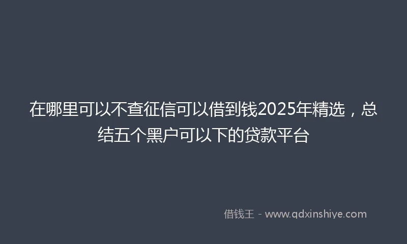 在哪里可以不查征信可以借到钱2025年精选，总结五个黑户可以下的贷款平台