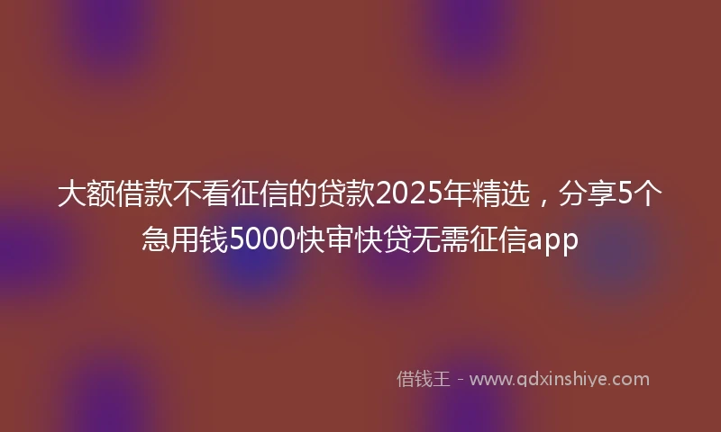 大额借款不看征信的贷款2025年精选，分享5个急用钱5000快审快贷无需征信app