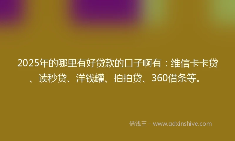 2025年的哪里有好贷款的口子啊有：维信卡卡贷、读秒贷、洋钱罐、拍拍贷、360借条等。