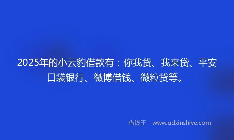 2025年的小云豹借款有：你我贷、我来贷、平安口袋银行、微博借钱、微粒贷等。