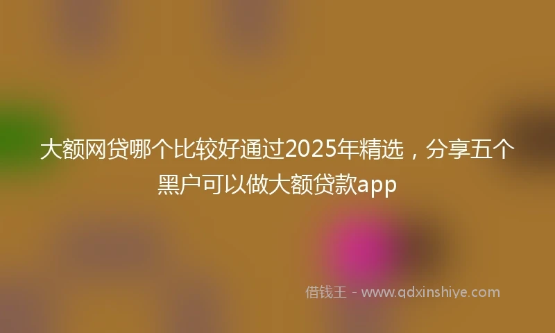 大额网贷哪个比较好通过2025年精选，分享五个黑户可以做大额贷款app