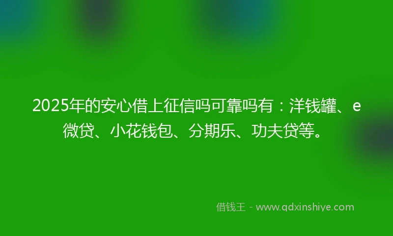 2025年的安心借上征信吗可靠吗有：洋钱罐、e微贷、小花钱包、分期乐、功夫贷等。