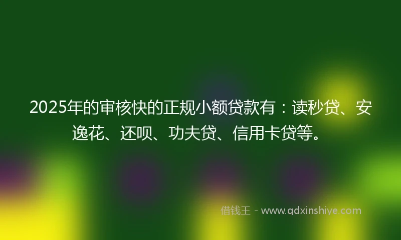 2025年的审核快的正规小额贷款有：读秒贷、安逸花、还呗、功夫贷、信用卡贷等。