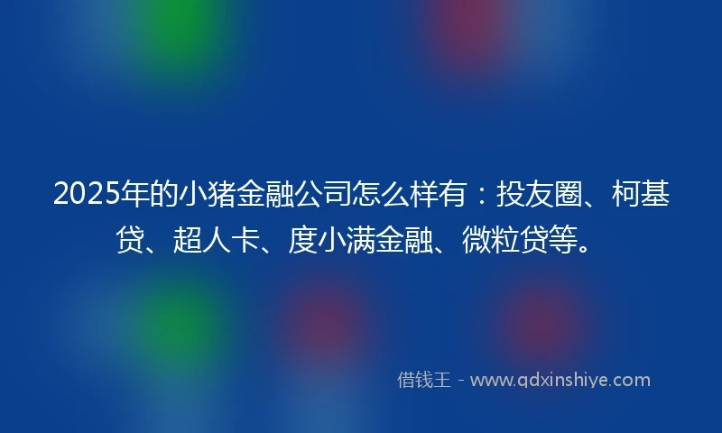 2025年的小猪金融公司怎么样有：投友圈、柯基贷、超人卡、度小满金融、微粒贷等。