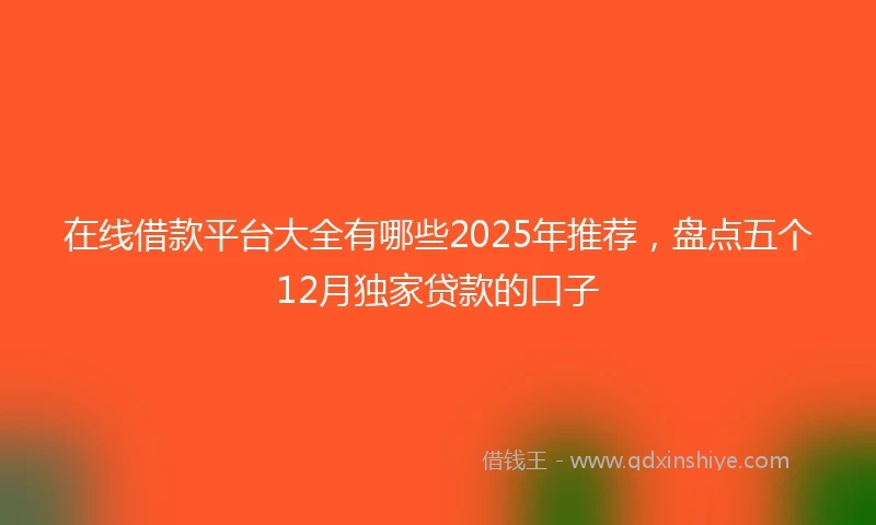 在线借款平台大全有哪些2025年推荐，盘点五个12月独家贷款的口子