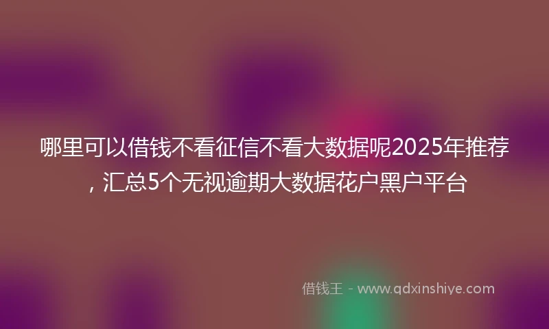 哪里可以借钱不看征信不看大数据呢2025年推荐，汇总5个无视逾期大数据花户黑户平台