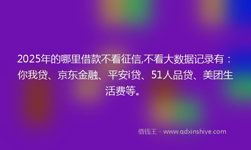 2025年的哪里借款不看征信,不看大数据记录有：你我贷、京东金融、平安i贷、51人品贷、美团生活费等。