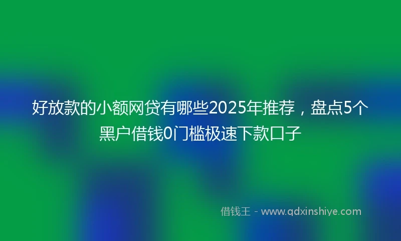 好放款的小额网贷有哪些2025年推荐，盘点5个黑户借钱0门槛极速下款口子