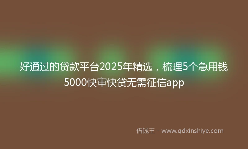 好通过的贷款平台2025年精选，梳理5个急用钱5000快审快贷无需征信app