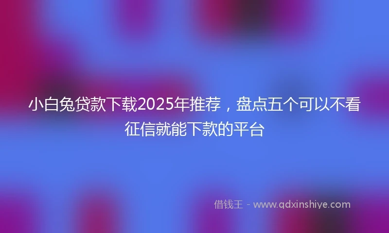 小白兔贷款下载2025年推荐，盘点五个可以不看征信就能下款的平台
