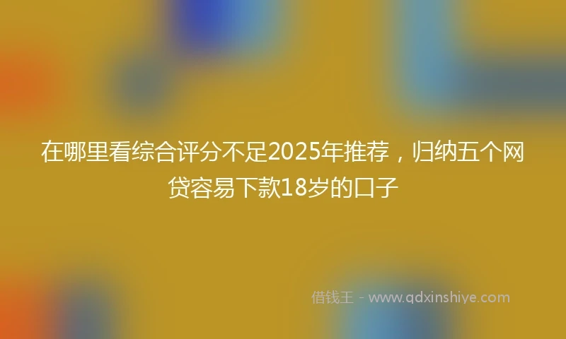 在哪里看综合评分不足2025年推荐，归纳五个网贷容易下款18岁的口子