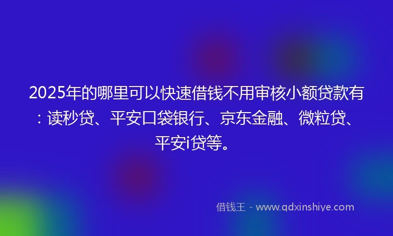 2025年的哪里可以快速借钱不用审核小额贷款有：读秒贷、平安口袋银行、京东金融、微粒贷、平安i贷等。